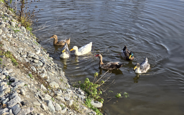 База отдыха Клевое место