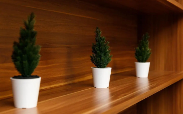 Евродвушка Этажидейли на Белинского 177