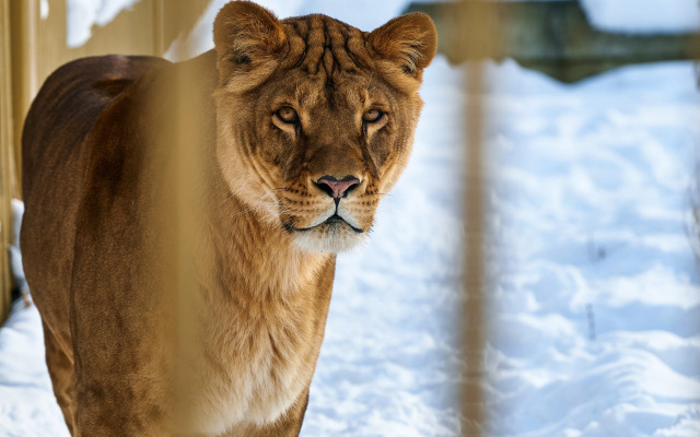 Отель Карым-Муны