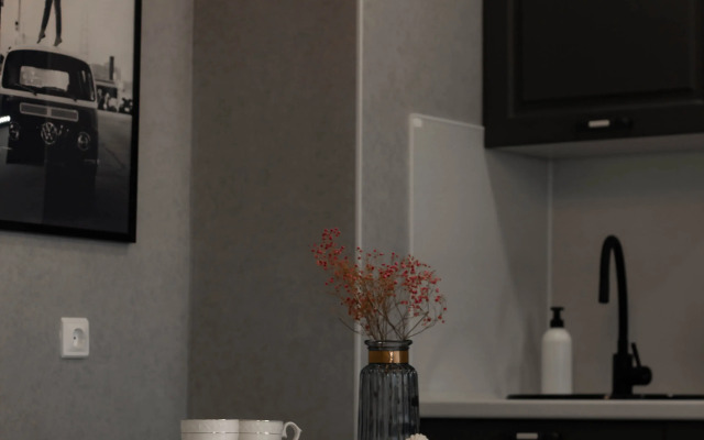 Uyutnaya Studiya Flat