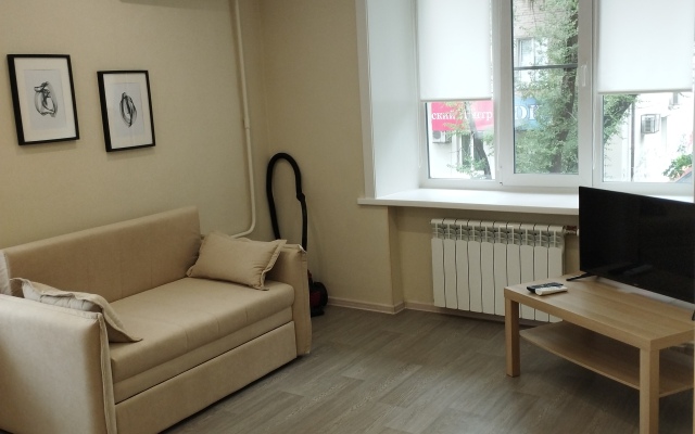 Квартира 1-комнатная на Пушкина 56