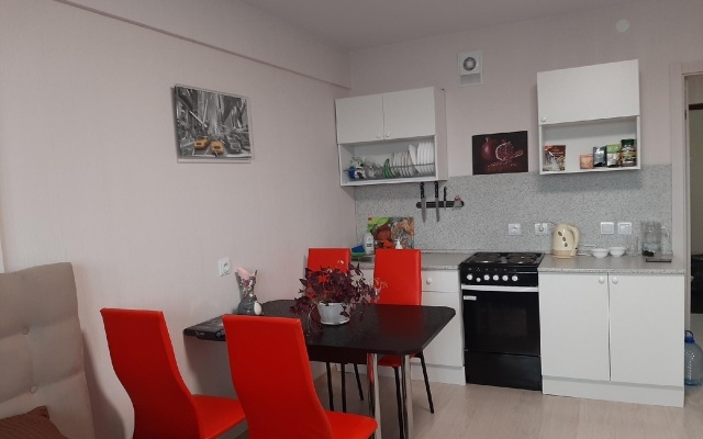 Апартаменты уютная студия у Эльгрина