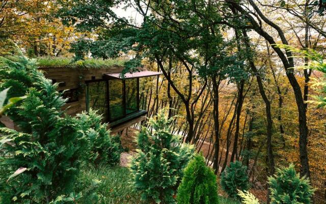 Bioli Medical Wellness Resort