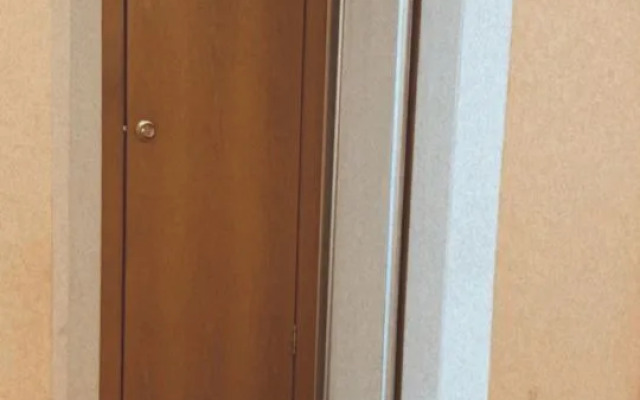 V Tsentralnom Rayone Chelyabinska Flat