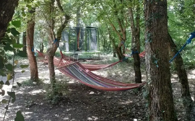Paradise