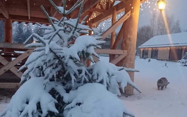 Апартаменты У лукоморья