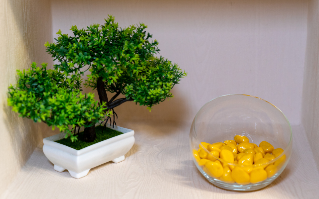 Апартаменты Солнечная Студия