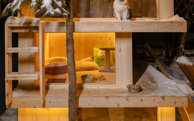 Отель Dombay Winter Hall