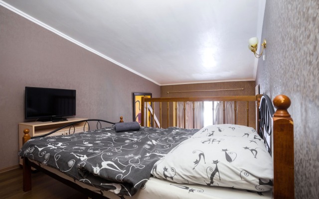 Апартаменты Тучков 24  (3)