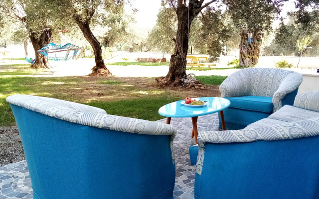 Yazduf Family Holiday Homes