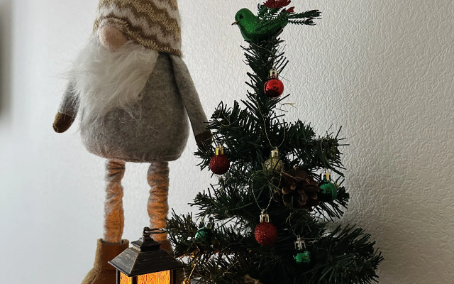 Квартира на 65 лет Победы 6