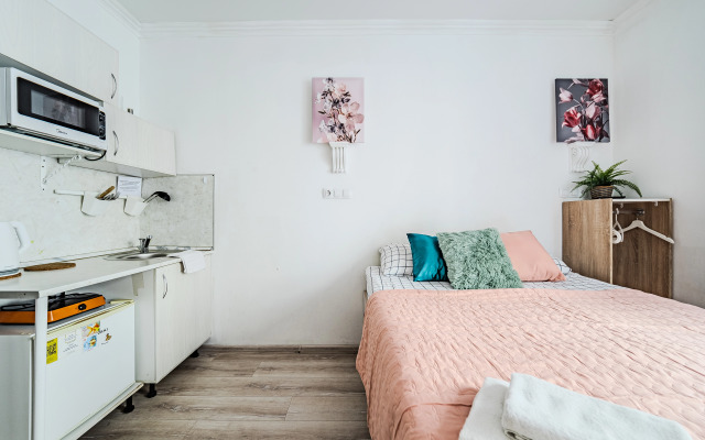 Апартаменты Уютный номер студио в центре