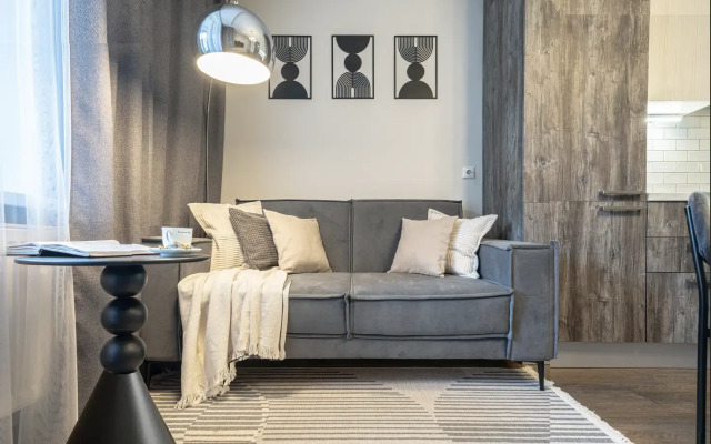 Stylish Grey Spb Apartments