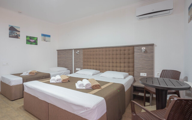 Отель Despina Family Hotel