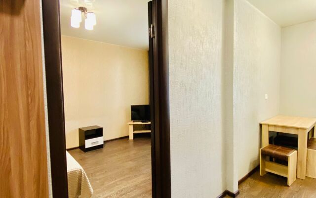 Krasnoarmejskaya 11/1 Apartments