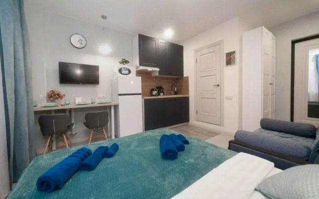 Studiya na Fridrikha Engelsa Apartments