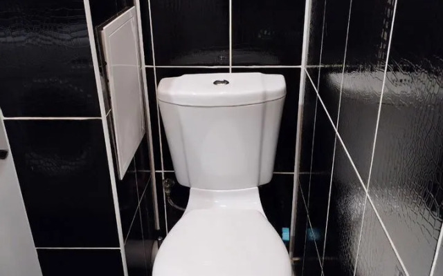 Na Prospekte Lenina 60B Flat