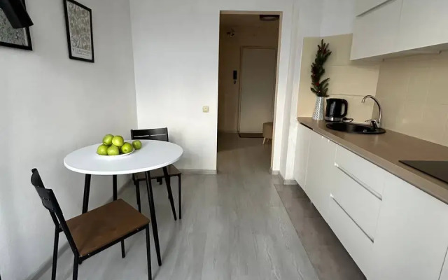 Flat Odnokomnatnaya Kolpino