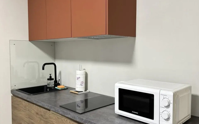 Апартаменты Luoto Aparts