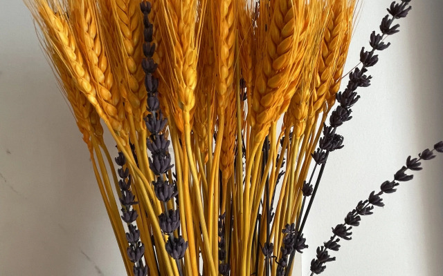 S Sovremennym Dizaynom I Mebelyu Flat