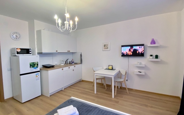 Studiya Zelenaya v Pesochnom flat