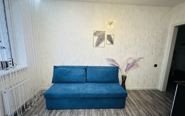 Tsentr Goroda Apartments