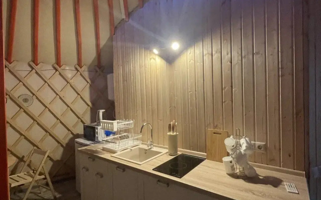 Buryatskaya Yurta Altyn Saray Glamping