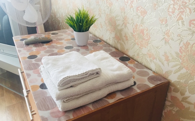 Apartamenty V Tsentre - Gagarina 9 Flat