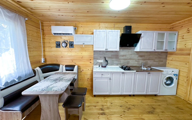 Private house Lebedinaya 9 Dom 1