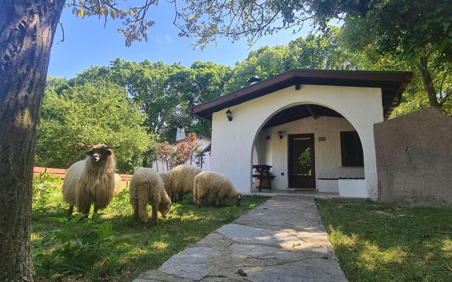 Polonezköy Country Club & Accommodation in the Wildlife Park