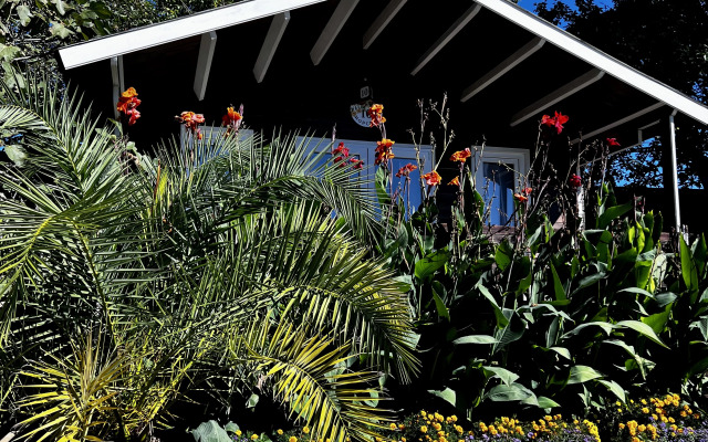 Flora Hotel
