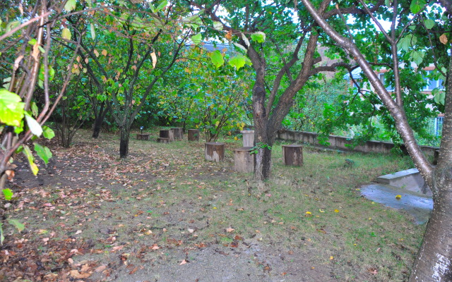Kamar Guest house