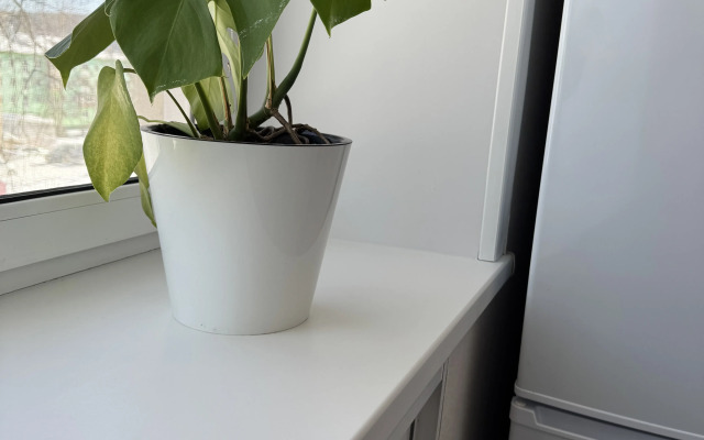 Квартира Центральная