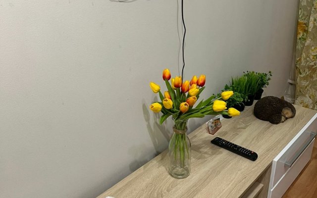 Апартаменты 2-комнатные в Центре Города на улице Ленина