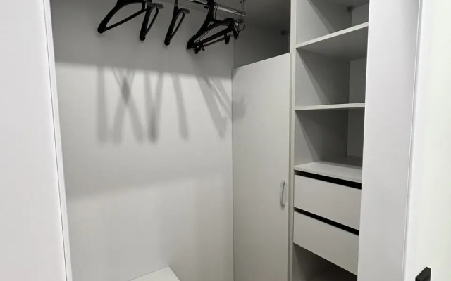 Vidovaya Onega na ladoni Flat