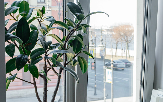 Апартаменты ApartH с видом на Неву и город