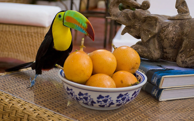 Бутик-отель Casa Quero