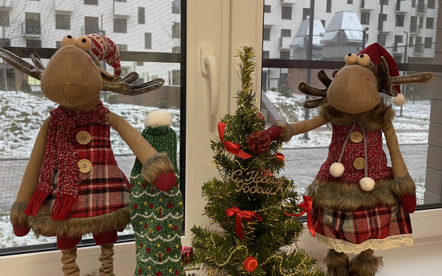 Квартира Студия Cканди в ЖК Сердце Ярославля