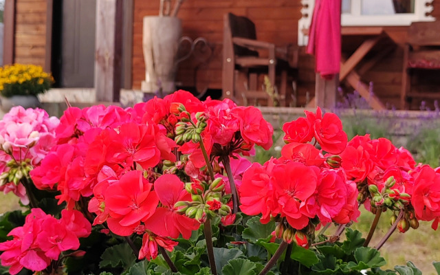 Гостевой Дом Усадьба Деревенский рай