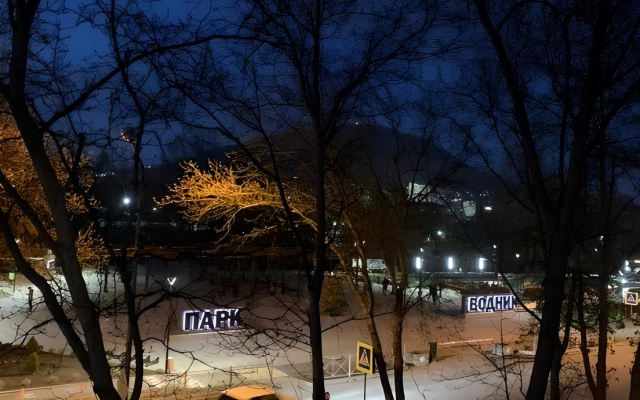 S Vidom na Goru Mashuk Apartments