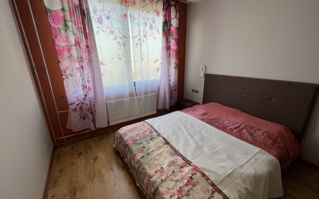 m.Avtovo DreamApart S Vidom Na Samiy Visokiy Neboskreb Apartments