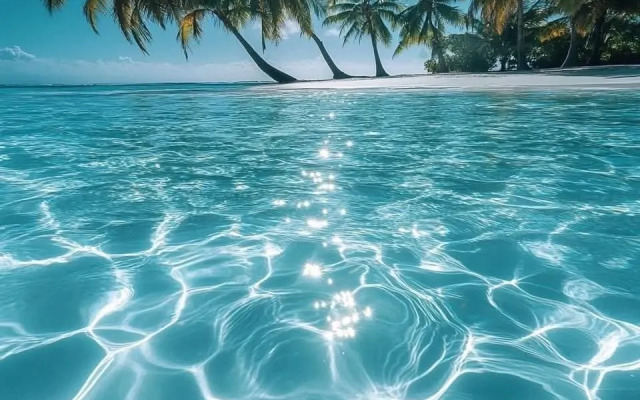 Oceana Inn Maldives Guest house