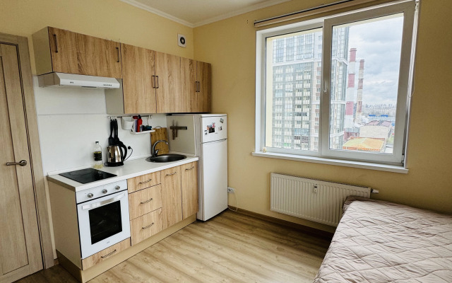 S vidom na Nevu 12 etazh Flat