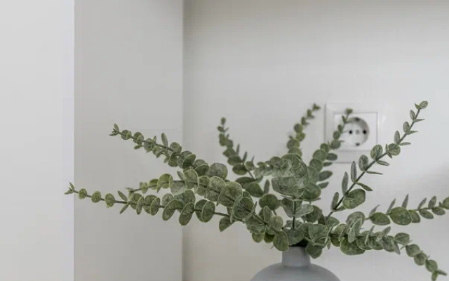 Апартаменты Виола Studio Apartamia