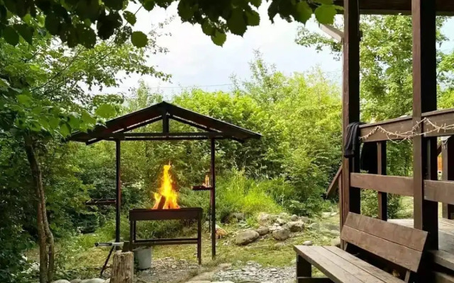 Шале Дрозды