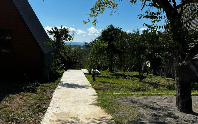 Ayfreymy Pitsunda Guest House