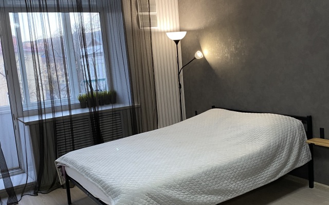 Uyutnaya Studiya Na Kommunisticheskom Prospekte Apartments