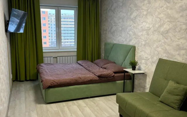 3-Kh Komnatnye U Aeroporta Apartments