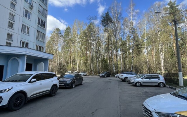 Kak Doma na Samodeyatelnoy Apartments