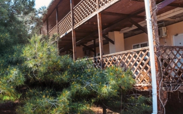 Plamya Guest House